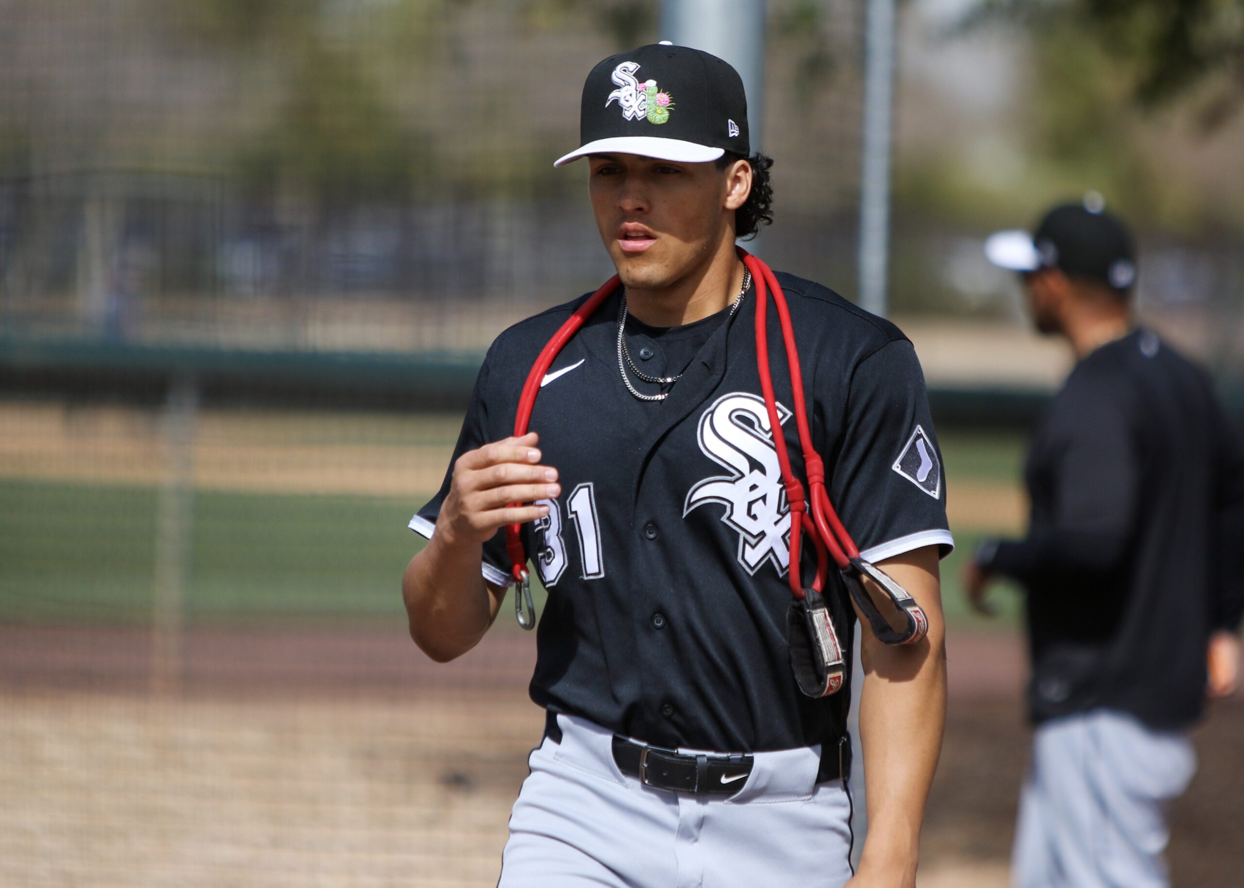 White Sox