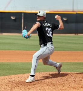 White Sox