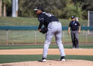 White Sox